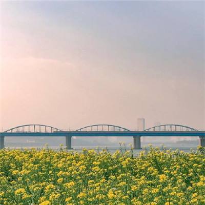 王予波在红河调研时强调:加快建设美丽红河产业红河开放红河活力红河